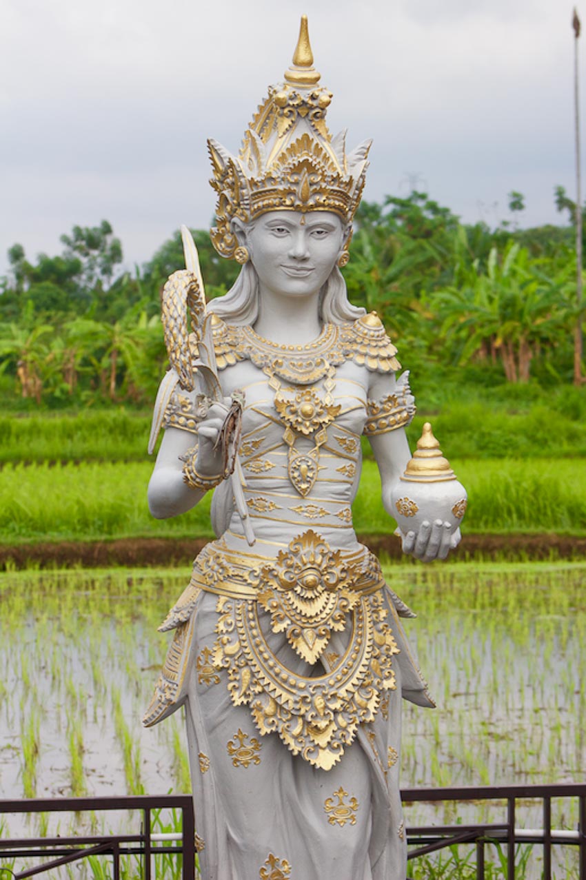 Xin Số Thần Tài Lúa Gallery 2