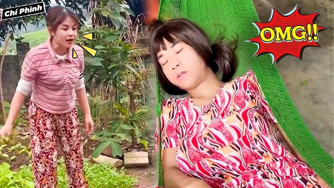 Xin xỏ hay xin xỏ? Gallery 2