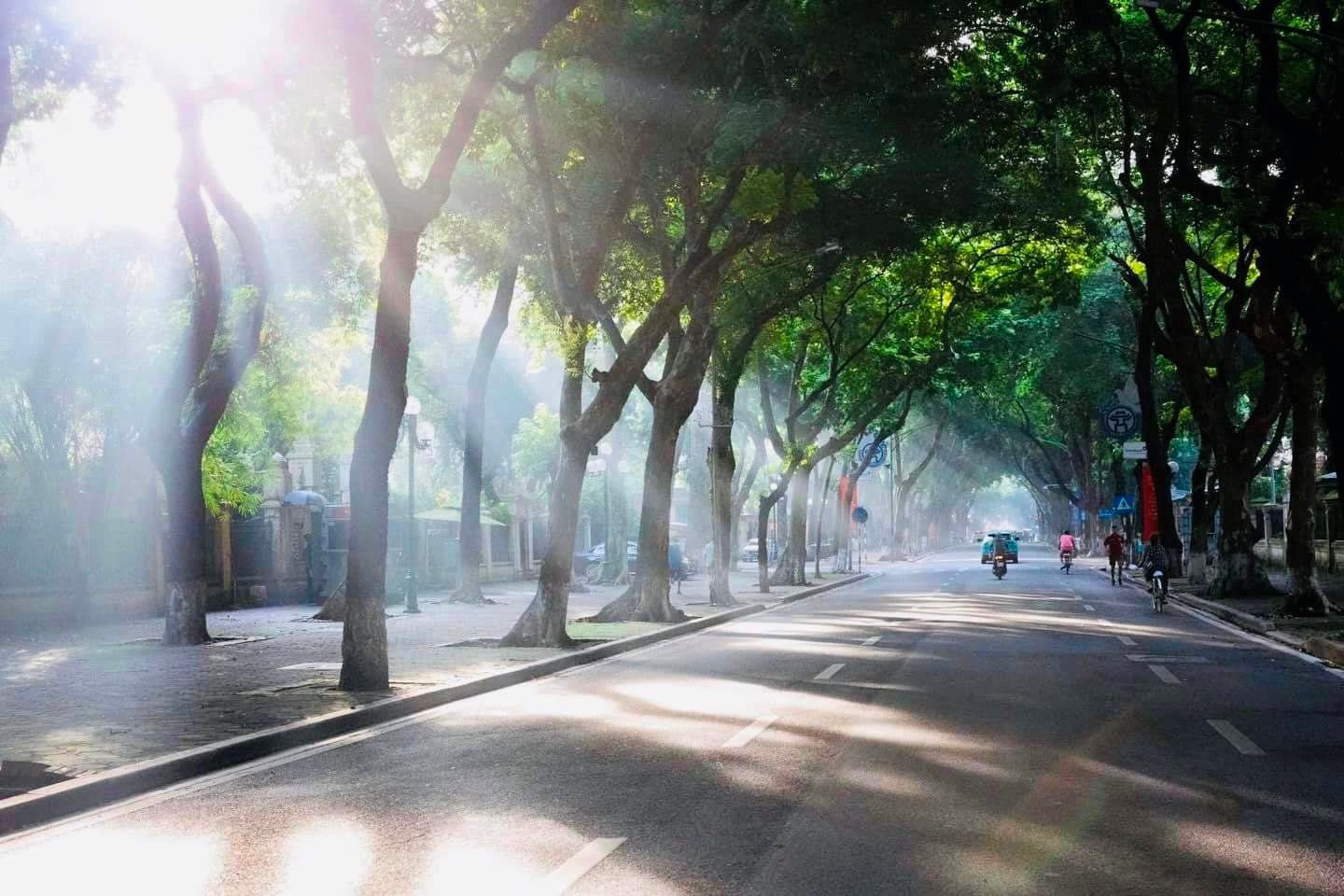 Xô bồ là gì? Gallery 2
