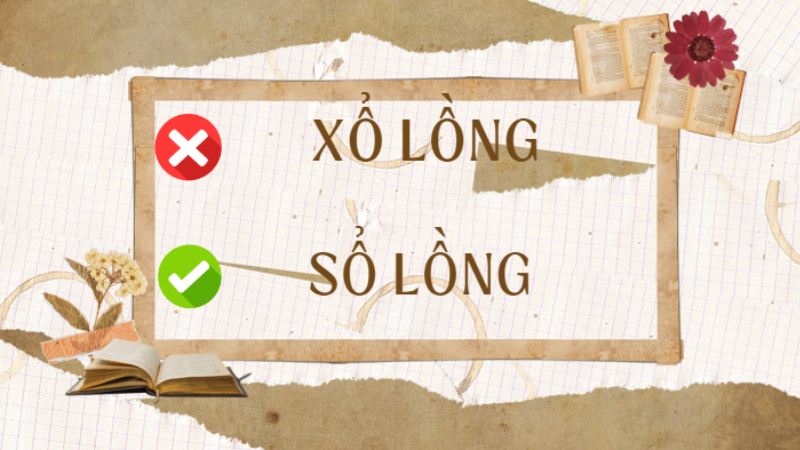 Xổ Lồng Hay Sổ Lồng? Gallery 2