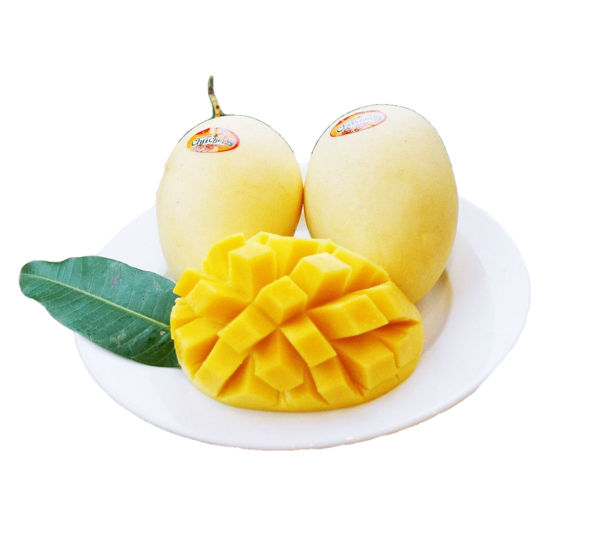 Xoài Cát Chu Chú Chín