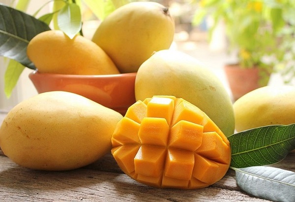 Xoài Cát Hòa Lộc Ở Tỉnh Nào?