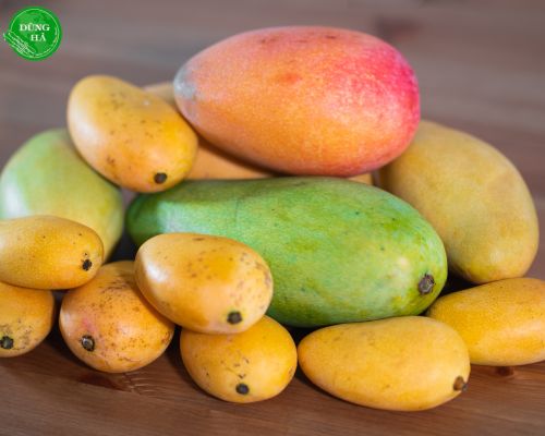 Xoài nào ngon nhất?