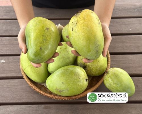 Xoài Tứ Quý Ăn Sống Hay Chín?