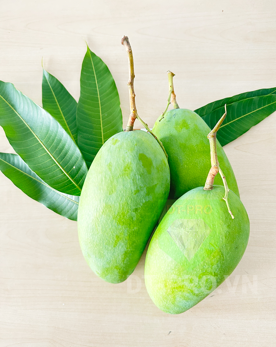 Xoài Tượng Da Xanh