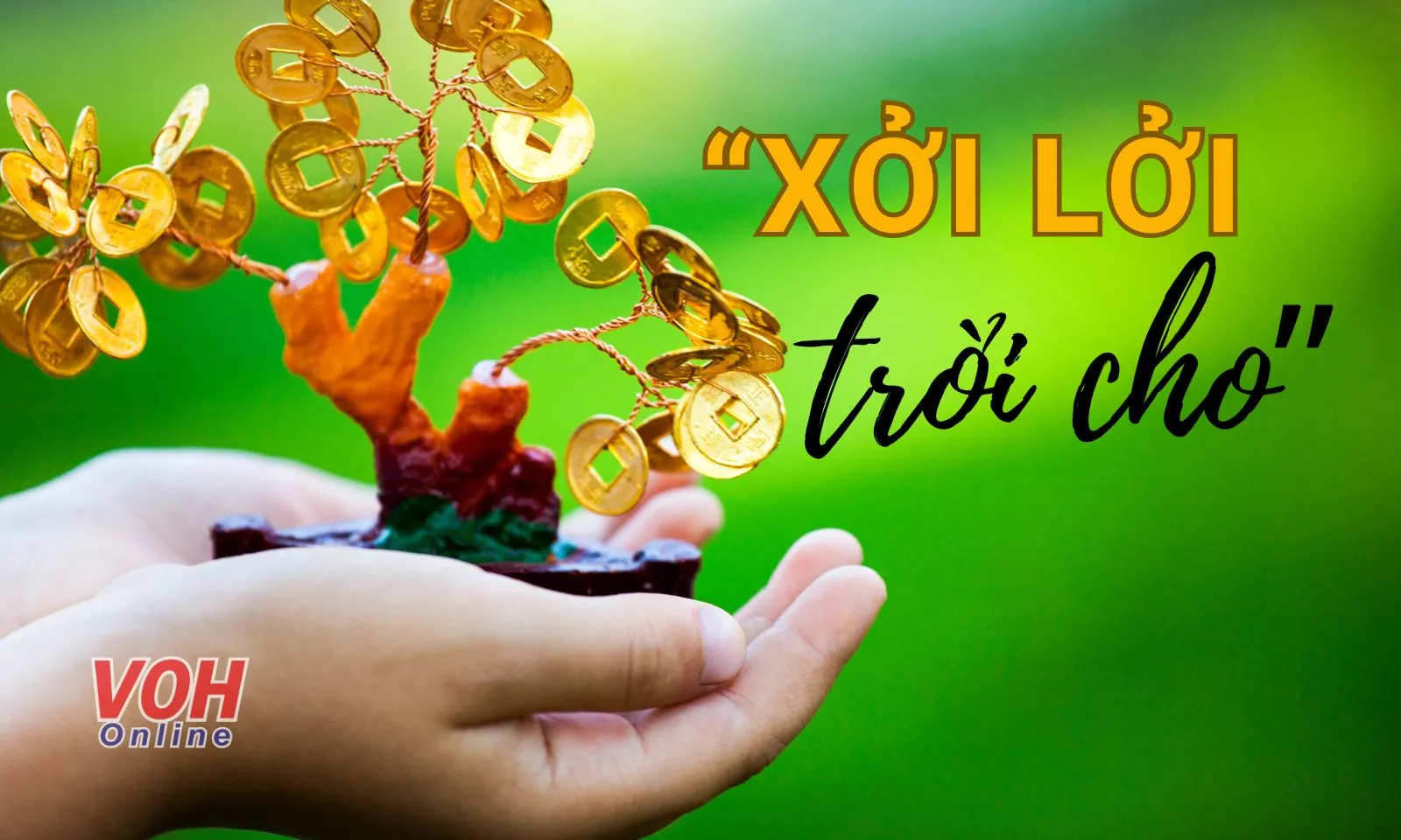 Xởi lởi thì trời cho Gallery 2