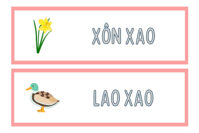 Xôn Sao Hay Xôn Xao?