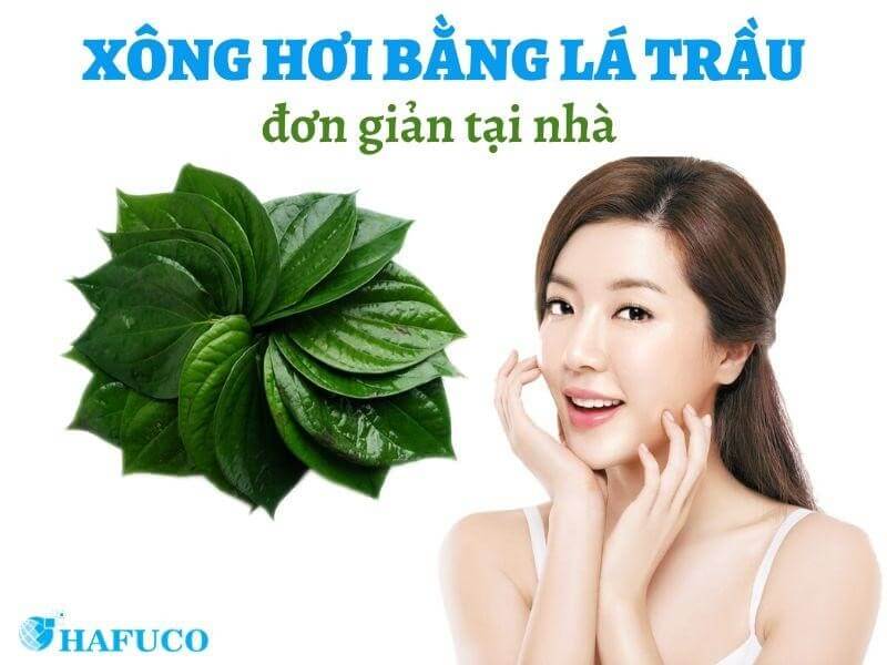 Xông Lá Trầu Có Tác Dụng Gì?