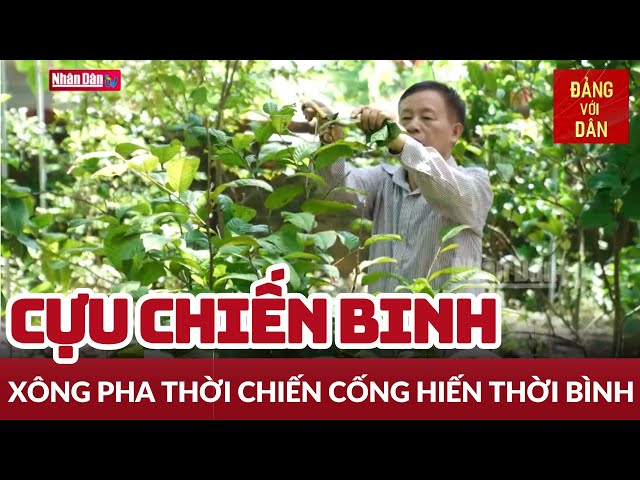 Xông Pha Là Gì?