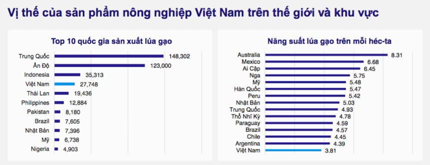 Sản xuất lúa ở nước ta hiện nay Gallery 2