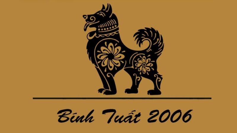 Trai 2006: Đặc điểm, tính cách và xu hướng Gallery 2