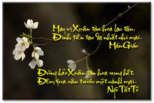 Ta Quen Biết Nhau Khi Tàn Xuân Gallery 1