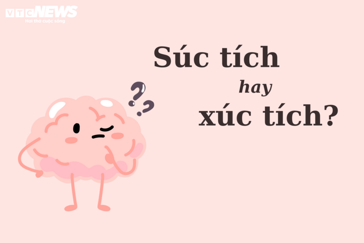 Hồ sơ năng lực là gì? Gallery 2