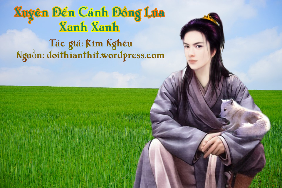 Xuyên đến cánh đồng lúa xanh xanh