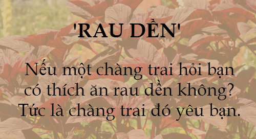 Em có ăn rau dền không nghĩa là gì? Gallery 1