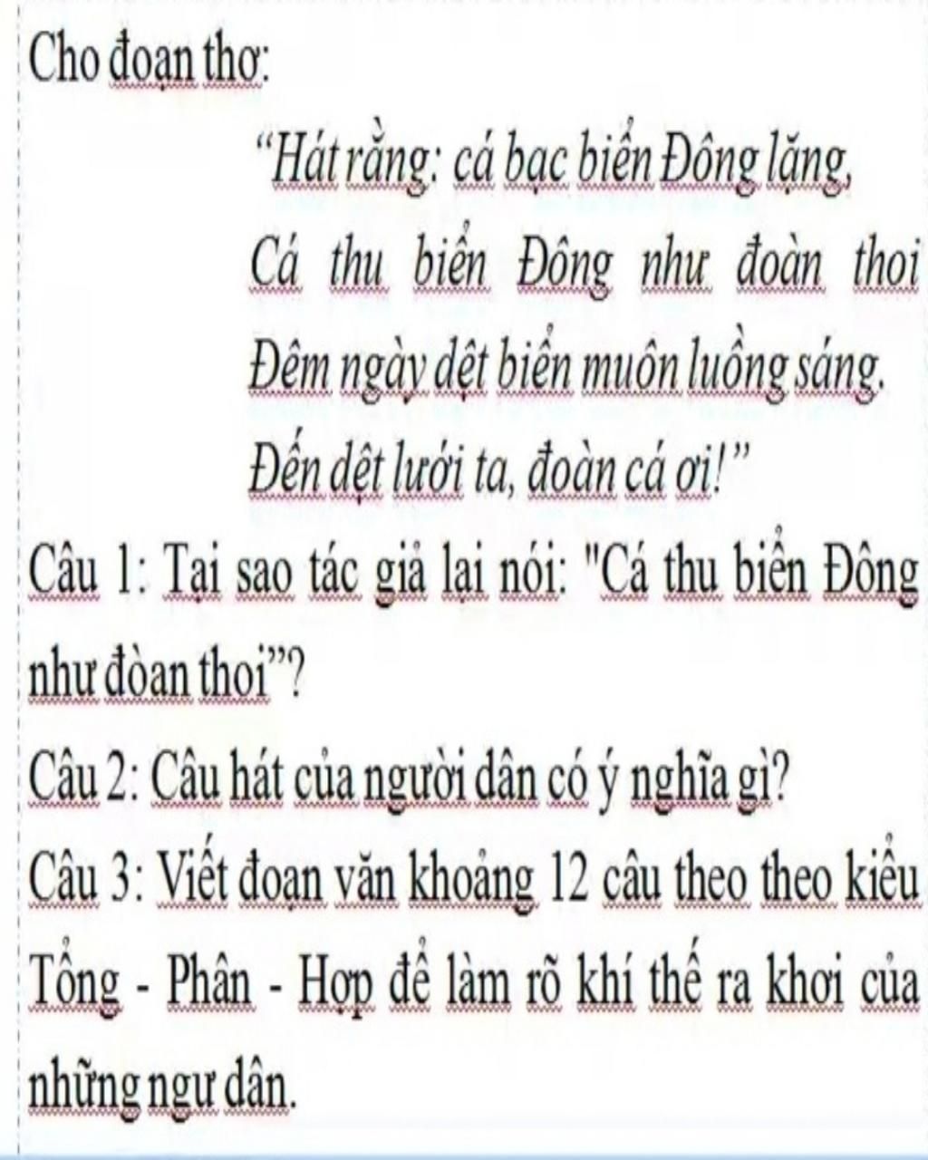 Hát rằng cá bạc biển Đông lặng Gallery 1