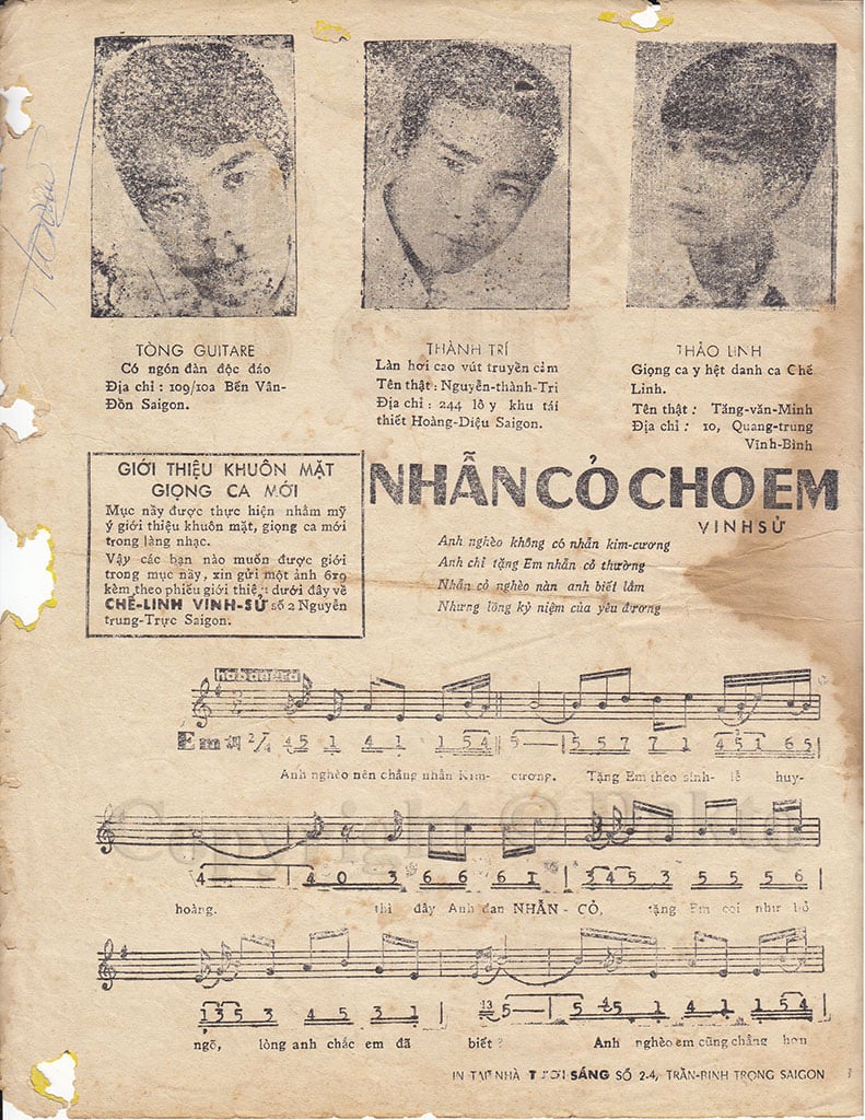 Nhẫn Cỏ Cho Em Gallery 1