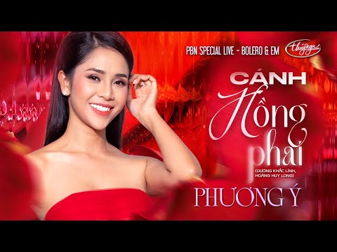 Nghe Phương Ý Cánh Hồng Phai Gallery 1
