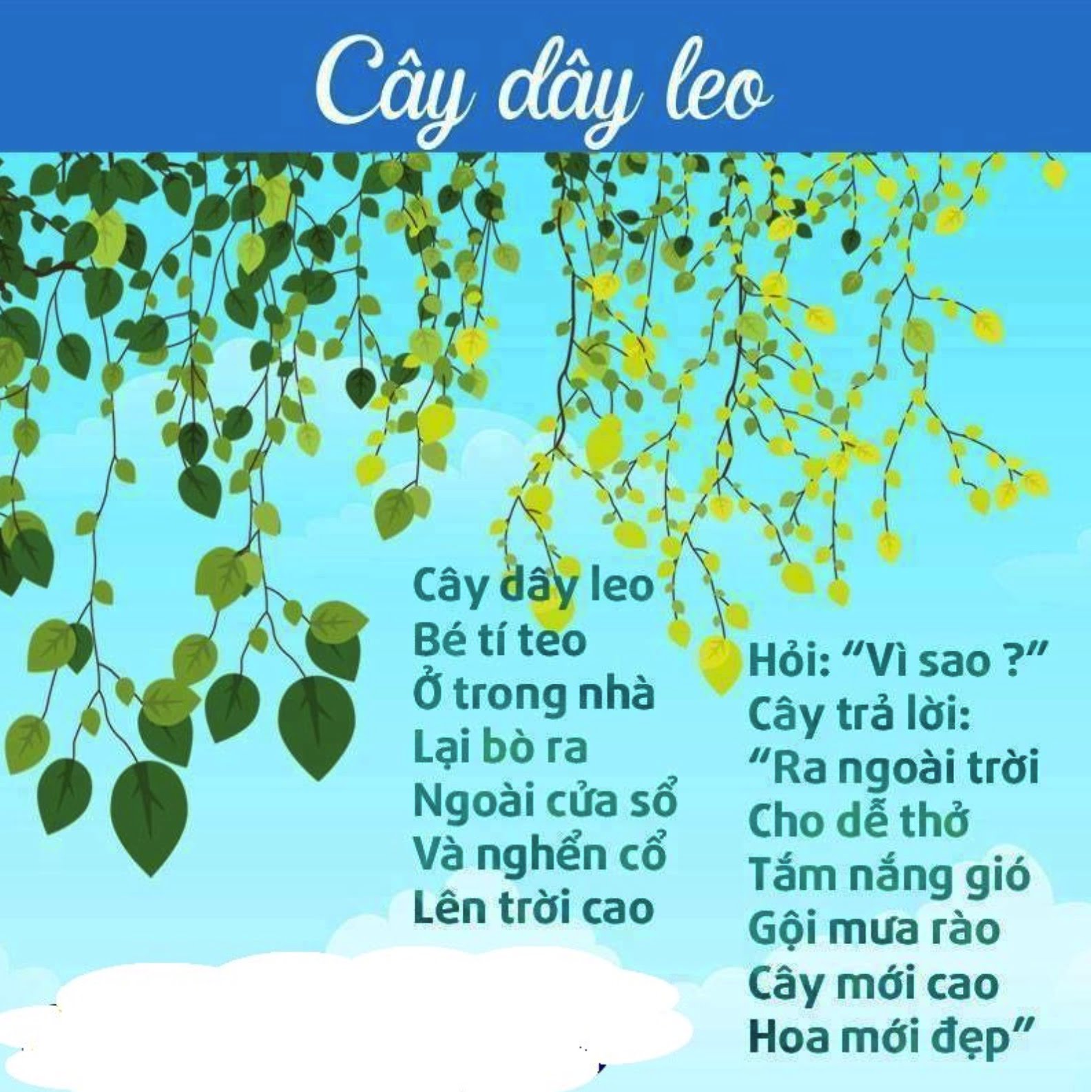 Bài Thơ Cây Dưa Leo - Hay và Ý Nghĩa Gallery 2