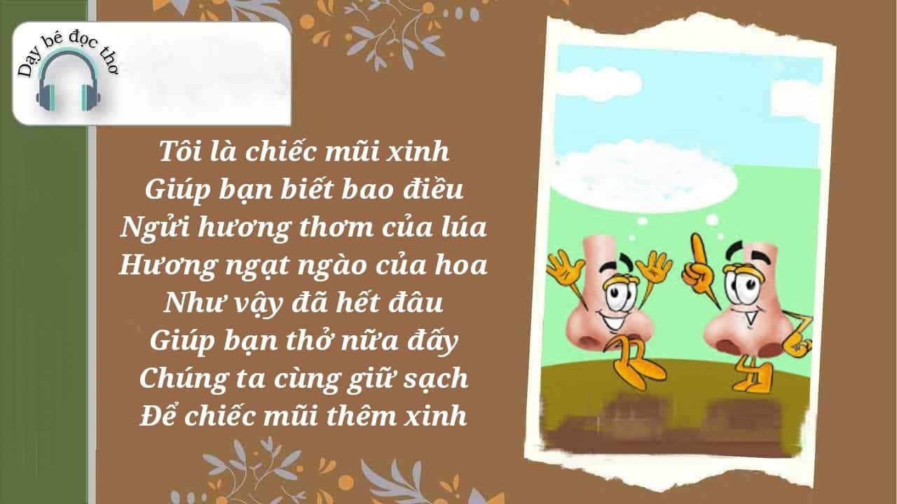 Bài Thơ Chiếc Mũi Xinh Gallery 2