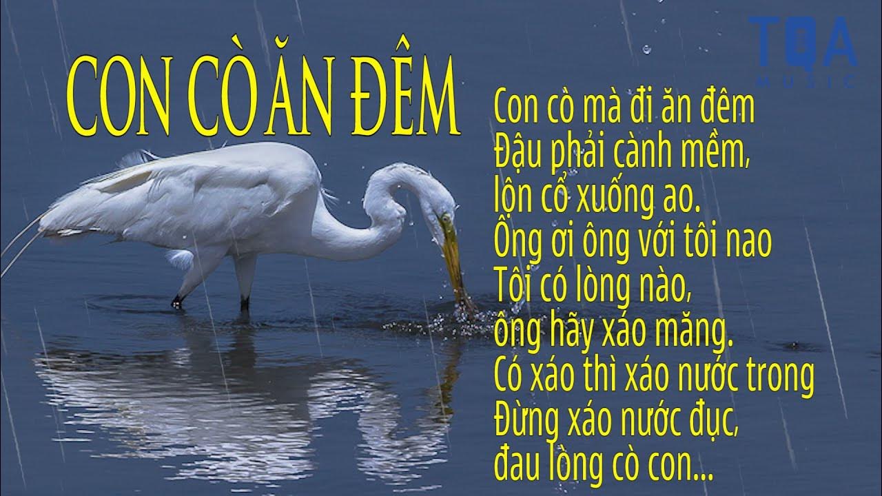 Bài Thơ Con Cò Mà Đi Ăn Đêm Gallery 1