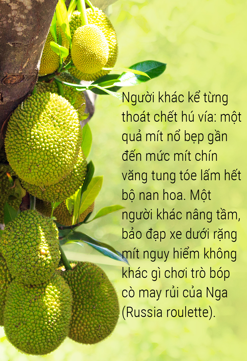 Ý Nghĩa Bài Thơ Quả Mít