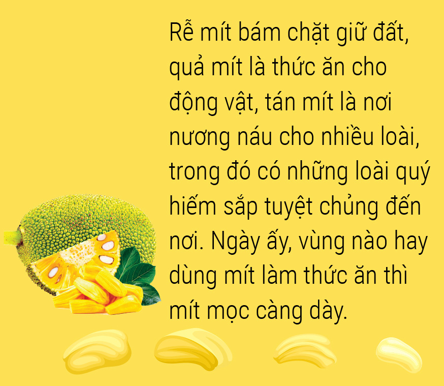 Ý Nghĩa Bài Thơ Quả Mít Gallery 1