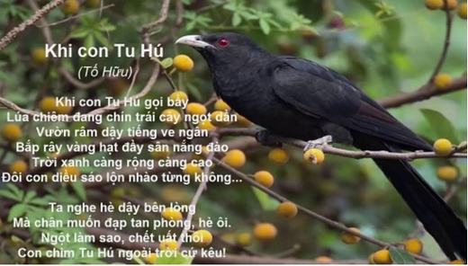 Soạn Bài Khi Con Tu Hú Siêu Ngắn Gallery 2