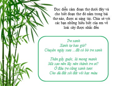 Cây Tre Việt Nam - Lớp 6 Kết Nối Tri Thức Gallery 2