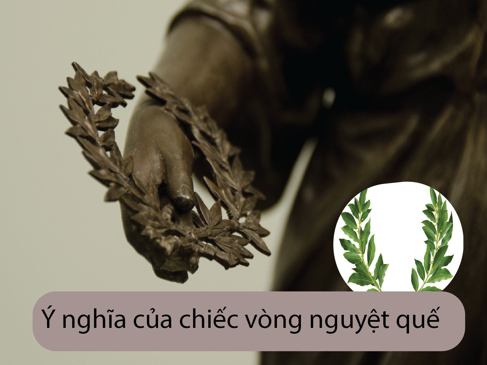 Vòng Nguyệt Quế Có Ý Nghĩa Gì? Gallery 2