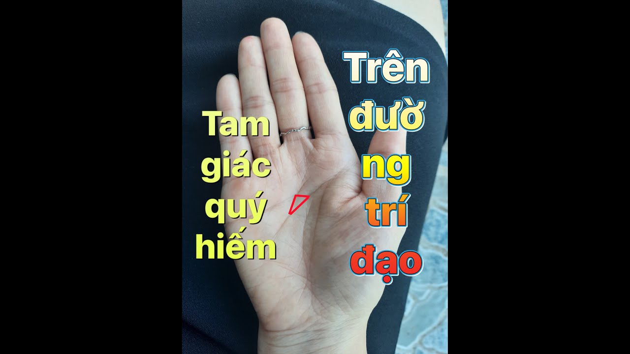 Hình Tam Giác Trên Đường Trí Đạo Gallery 1