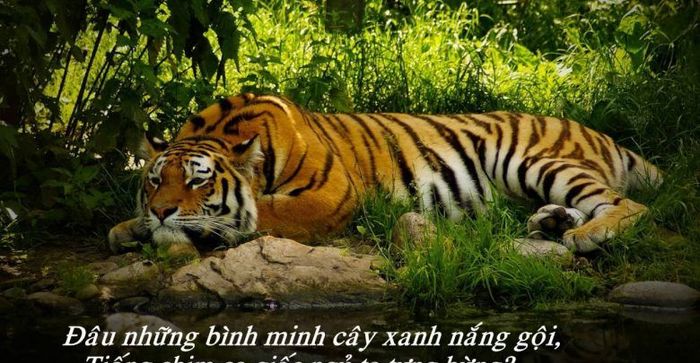 Bức Tranh Tứ Bình Trong Nhớ Rừng Gallery 2