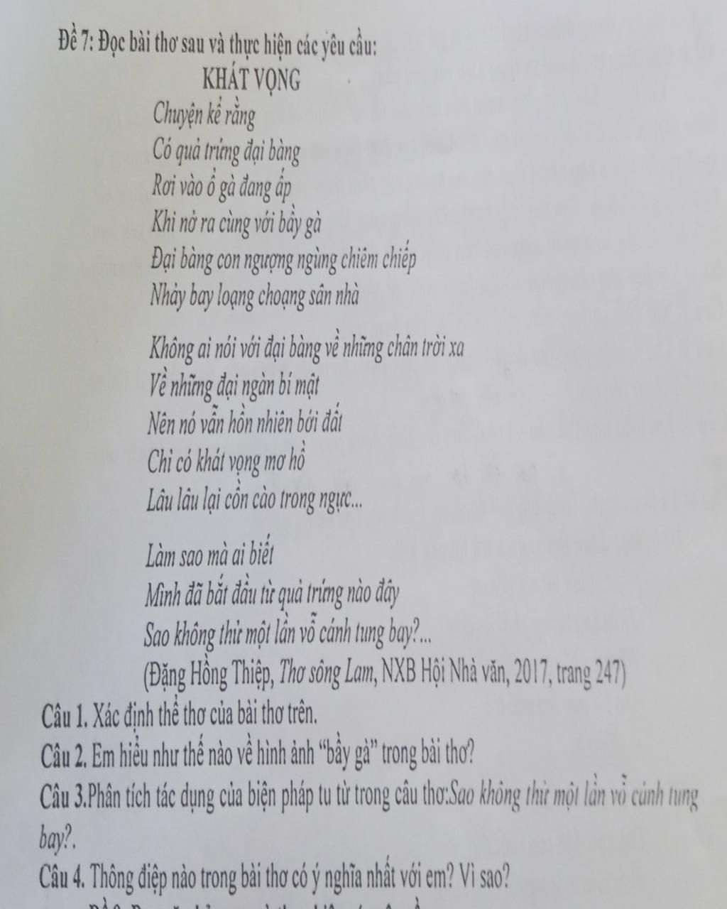 Chuyện kể rằng có quả trứng đại bàng Gallery 2