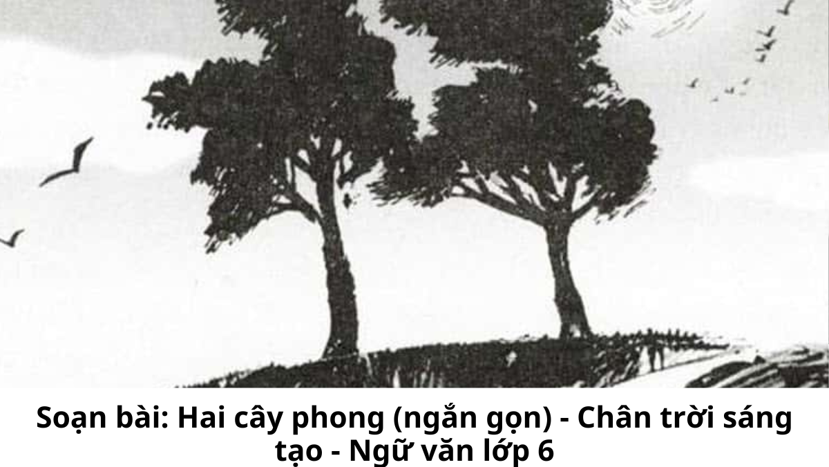 Hai Cây Phong Lớp 6: Phân Tích Chi Tiết Và Bài Học Ý Nghĩa Gallery 2