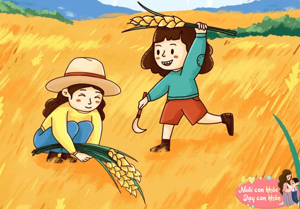 Sự tích hạt lúa: Ý nghĩa sâu sắc về lao động và lòng biết ơn