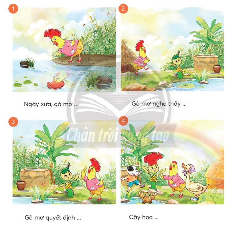 Sự Tích Hoa Mào Gà: Ý Nghĩa Và Truyền Thuyết