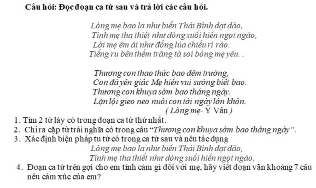 Lòng Mẹ Bao La Như Biển Thái Bình Gallery 1