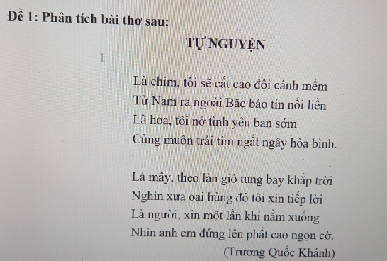 Là Chim Tôi Sẽ Cất Cao Đôi Cánh Mềm Gallery 1