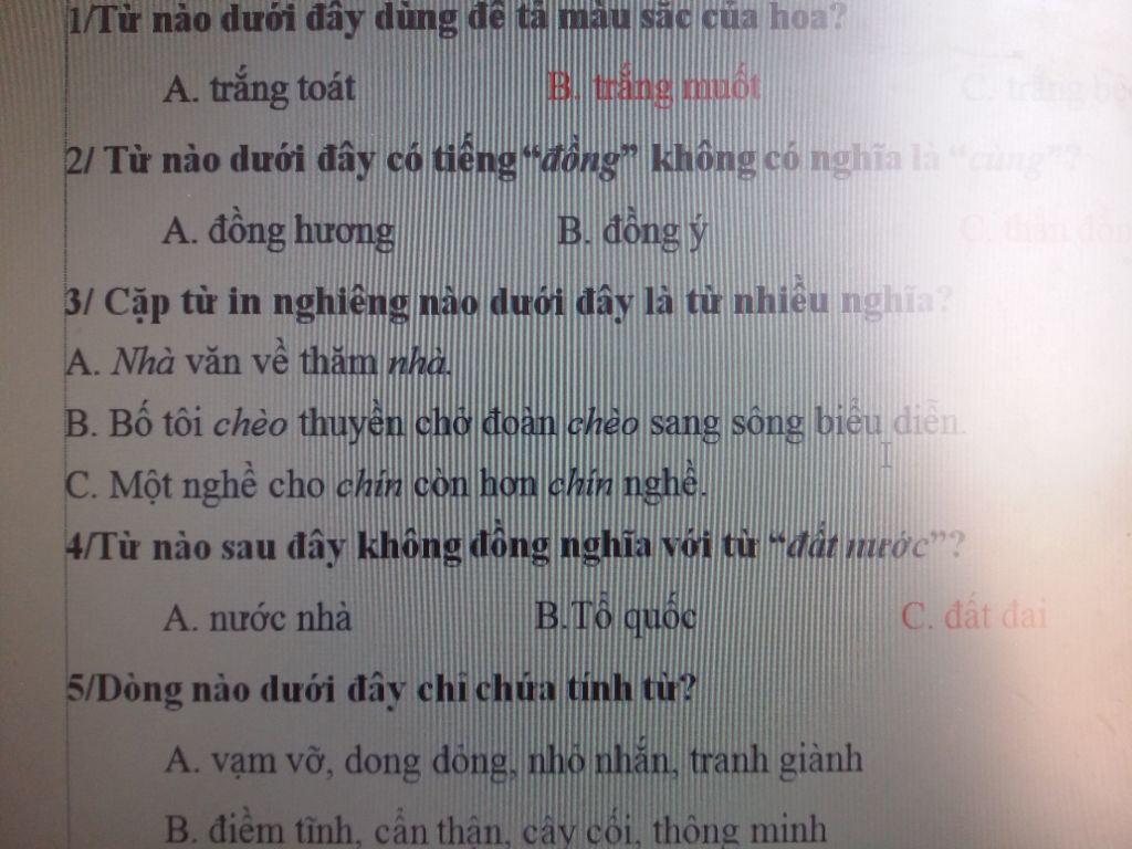 Dong dỏng nghĩa là gì? Gallery 1