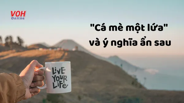 Cá mè một lứa nghĩa là gì? Gallery 1