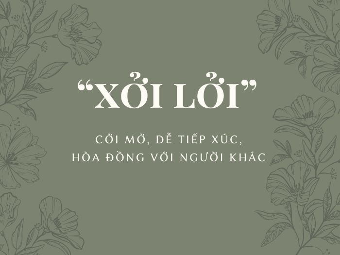 Xởi lởi nghĩa là gì? Gallery 1