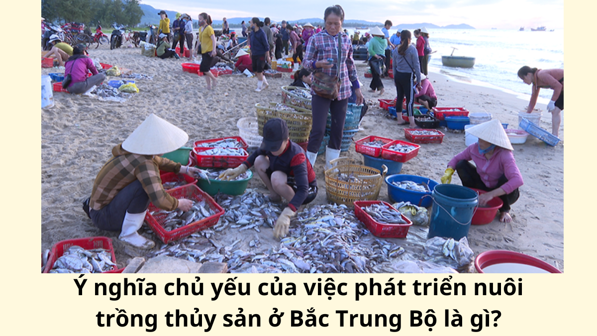 Ý nghĩa chủ yếu của việc phát triển nuôi trồng thủy sản ở Bắc Trung Bộ