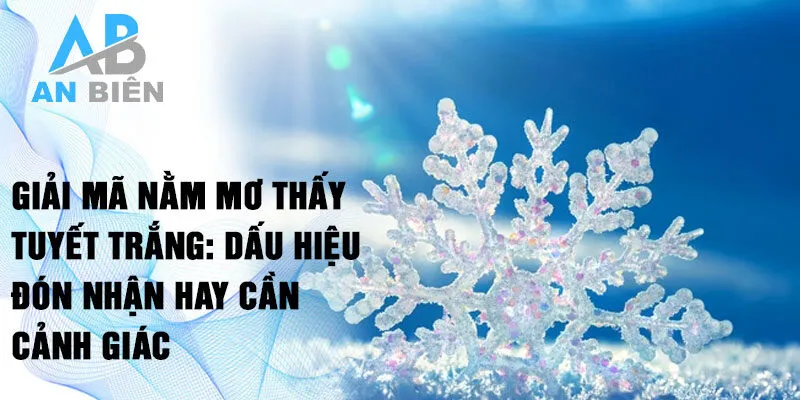 Giấc Mơ Tuyết Trắng Gallery 1