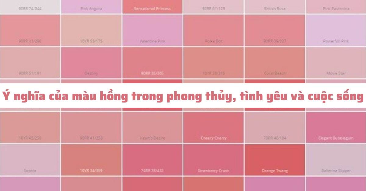 Màu Hồng Có Ý Nghĩa Gì? Gallery 1