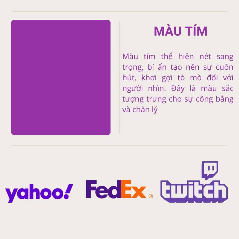 Màu Tím Ý Nghĩa Gì? Gallery 1
