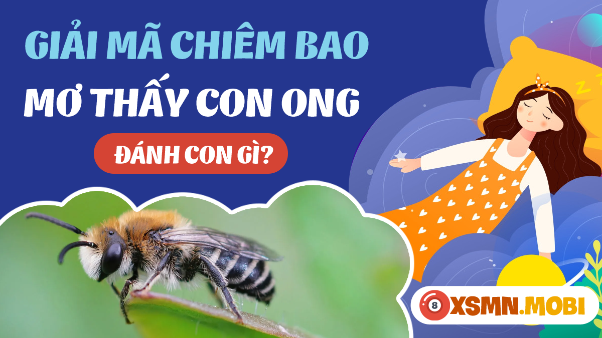 Con Ong Số Đề: Giải Mã Ý Nghĩa Và Con Số May Mắn Gallery 1