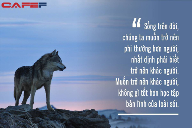 Ý Nghĩa Của Bản Lĩnh