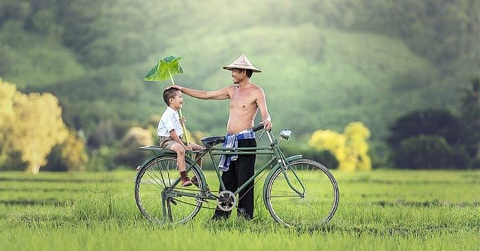 Bờ Vai Vững Chãi: Ý Nghĩa, Hình Ảnh và Cách Tạo Dựng Gallery 1