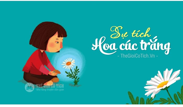 Sự tích bông cúc trắng Gallery 2