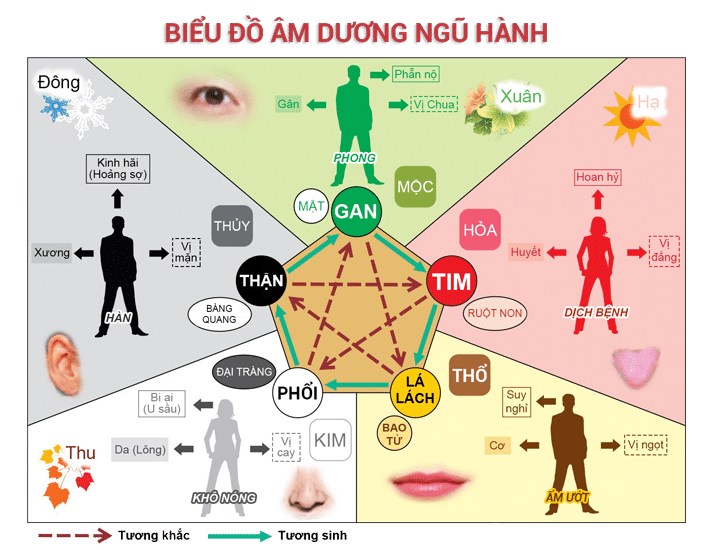 Can Tâm Là Gì? Gallery 1